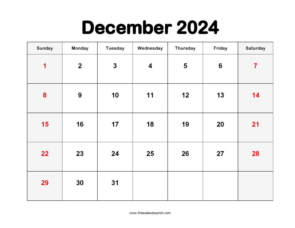 Blank December 2024 Calendar